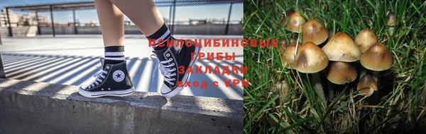 mdpv Балахна